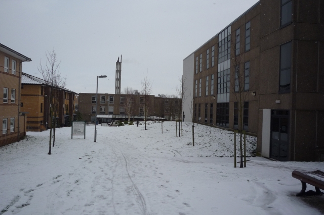 Alcuin_College_in_Snow_-_geograph.org.uk_-_1691889