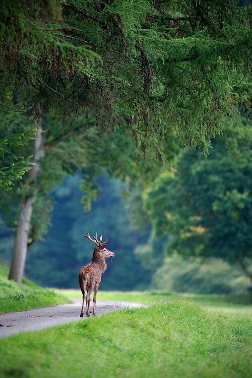 Bt7iAkdIEAAWIHV.jpg large