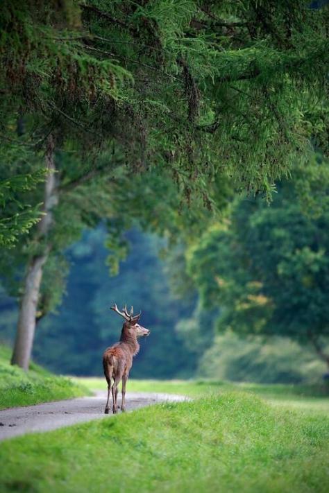 Bt7iAkdIEAAWIHV.jpg large