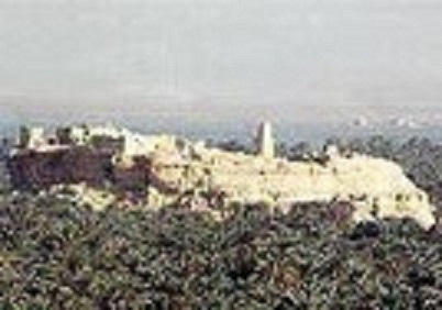 275695-The_desert oasis of Siwa