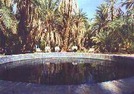 275682-Siwa_Oasis_Egypt